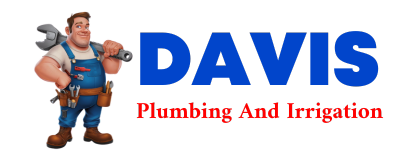 Trusted plumber in DUPUYER